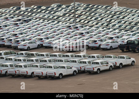 Aqaba, Jordanien - März 14, 2014: Neue Autos auf dem Hof. Hiundai und Toyota halten eine führende Position auf dem Jordanischen neuer Automarkt Stockfoto