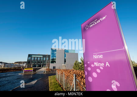 Modernes Laborgebäude am bioQuarter in Edinburgh, Schottland, Vereinigtes Königreich Stockfoto