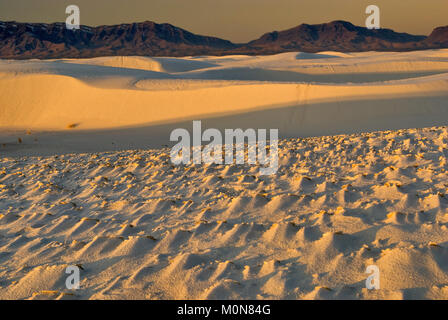 Zementierte Gipssandkruste in Dünen im Alkali Flat Trail Area, San Andres Mountains in der Ferne, Sonnenaufgang, White Sands National Park, New Mexico, USA Stockfoto