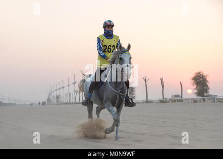Eine athletische Fahrer in einem Rennen konkurrieren in der Wüste bei Sonnenuntergang. Dubai, VAE. Stockfoto
