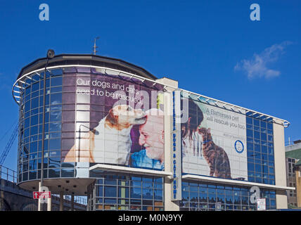 London, Battersea die Front von Battersea Hunde & Katzen zuhause in Battersea Park Road Stockfoto