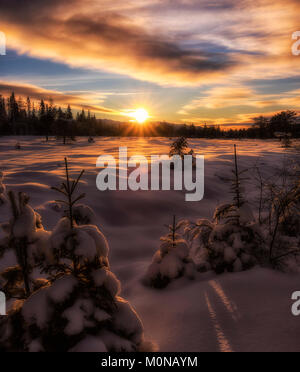 Goldene Stunde im Winterland Stockfoto
