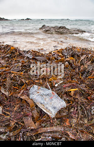 Zermatschte verworfen Kunststoff Trinkflasche links in Algen am Strand von Porth Nobla Llanfaelog - Strand, Anglesey, Wales zu liegen Stockfoto