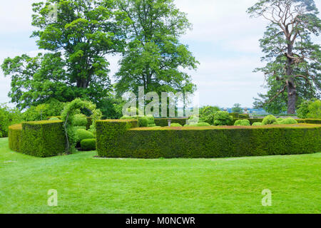 Angelegter Garten mit formschnitt Abschnitt von getrimmt Hedge- und Eingang durch rose Torbogen, Sommerzeit in englischer Landschaft umgeben. Stockfoto