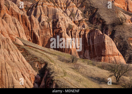 Rote Schlucht geschützten Bereich und einem natürlichen Monument, einer geologischen und botanischen finden in Rumänien Stockfoto