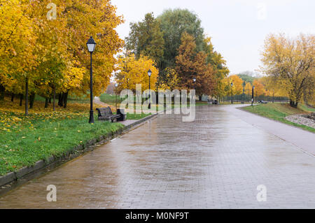 Straße durch den Park, an regnerischen Herbstmorgen. Hintergrund, Natur. Stockfoto