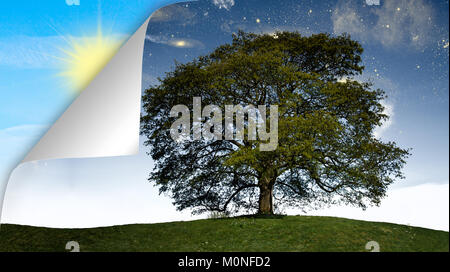 Nacht Baum auf dem Hügel und teilweise sichtbare Bild der aufgehenden Sonne auf der Rückseite Stockfoto