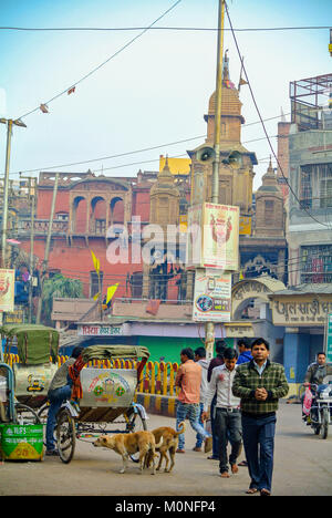 Straße scenen Varanasi Indien Stockfoto