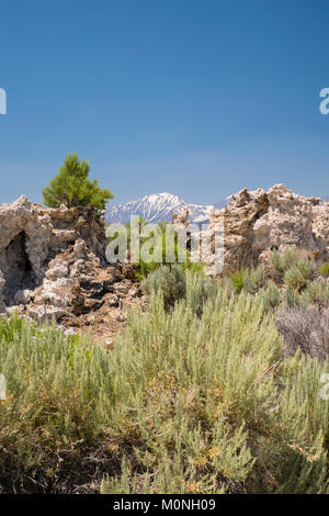 Bild vom Mono Lake Tuffstein State Reserve in der Nähe in der Nähe des Mono Lake, Kalifornien. Stockfoto