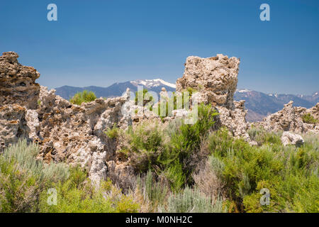 Bild vom Mono Lake Tuffstein State Reserve in der Nähe in der Nähe des Mono Lake, Kalifornien. Stockfoto