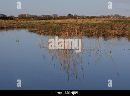 Blick über Teich in höheren Level Stewardship Land Hempstead, Lessingham, Norfolk Dezember Stockfoto