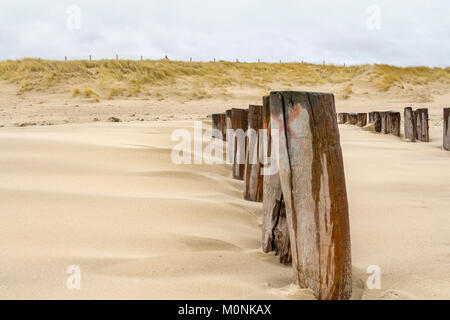 Sandstrand Detail zeigt eine groyne und Dünen mit Gras in der niederländischen Provinz Zeeland überwuchert benannt Stockfoto