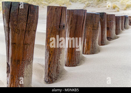 Sandstrand Detail zeigt eine groyne und Dünen mit Gras in der niederländischen Provinz Zeeland überwuchert benannt Stockfoto