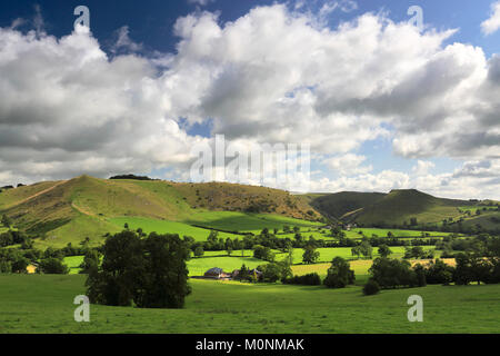 Sommer Blick durch die ilam Weiden auf Dovedale, Staffordshire, England, UK Stockfoto