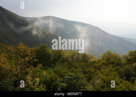 Nebel zieht über den Grat in Shenandoah National Park, Virginia Stockfoto