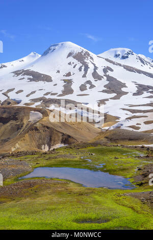 Und fannborg Snaekollur mit Teich und Frühjahr Moos, Thermal Zone Hveradalir, Kerlingarfjöll, Rangárvallahreppur, Iceland Stockfoto