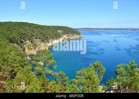 Frankreich, Finistere, Iroise, Parc Naturel Regional d'Armorique (Armorica Regionaler Naturpark), Presqu'ile de Crozon, Cap de la Chèvre, Pointe de Saint Hernot Stockfoto