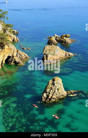 Frankreich, Finistere, Iroise, Parc Naturel Regional d'Armorique (Armorica Regionaler Naturpark), Presqu'ile de Crozon, Morgat, Spaziergang entlang des GR34 auf der Halbinsel Crozon, Cap de la Chèvre coastal path Stockfoto