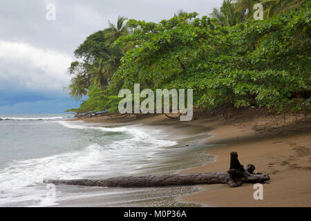 Costa Rica, Halbinsel Osa, wilden Strand von Sirena von primären Wald im Nationalpark Corcovado gefüttert Stockfoto