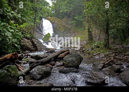 Costa Rica, Halbinsel Osa, kleinen Wasserfall durch einen Fluss in den Nationalpark Corcovado gebildet Stockfoto