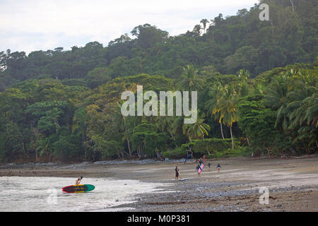 Costa Rica, Halbinsel Osa, Surfer in einem braunen Sand Strand von Pacific Coast von primären Wald gesäumt Stockfoto