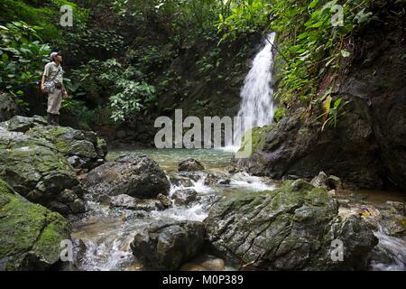 Costa Rica, Halbinsel Osa, naturführer vor einem Wasserfall im Wald in der Nähe der Ecolodge Lapa Rios Stockfoto