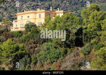 Frankreich, Var, Rayol Canadel Sur Mer, Domaine du Rayol, mediterraner Garten, Eigentum des Conservatoire du Littoral Stockfoto