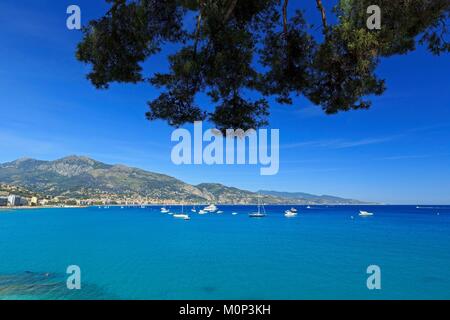 Frankreich, Alpes Maritimes, Roquebrune Cap Martin Stockfoto