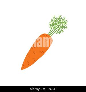 Karotte. Vector Illustration. Stock Vektor