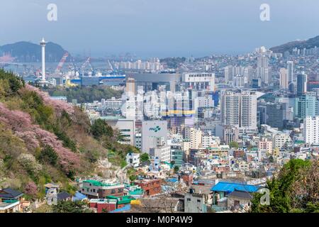 South Korea, Süd Gyeongsang Provinz, Busan, Saha-gu Bezirk, Panorama über die Stadt und Busan Turm im Hintergrund Stockfoto