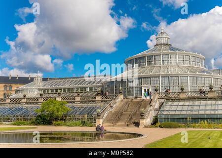 Dänemark, Seeland, Kopenhagen, Botanischer Garten, große Rotunde Gewächshaus 1874 erbaut und von Jacob Christian Jacobsen (Gründer von Carlsberg finanziert) Stockfoto