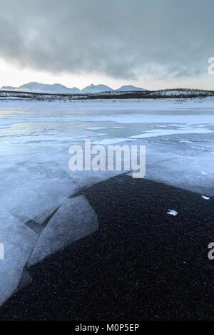 Schweden, Lappland, Region als Weltkulturerbe von der UNESCO, Norrbottens Län aufgelistet, Details von Eis auf der Oberfläche des gefrorenen Tornetrask See in Abisko Nationalpark Stockfoto