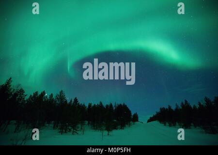 Schweden, Lappland, Region als Weltkulturerbe von der UNESCO, Norrbottens Län, Aurora Borealis, aufgenommen in den Himmel von Lappland im Abisko Nationalpark Stockfoto