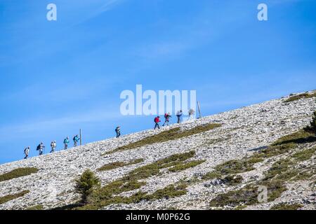 Frankreich, Alpes de Haute Provence, Saint Etienne Les Orgues, Wanderer auf dem Gipfel des Berges Lure Stockfoto