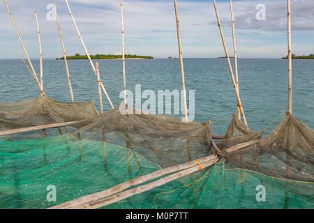 Philippinen, Palawan, Roxas, grüne Insel Bucht, Landwirtschaft fisch Käfig Stockfoto