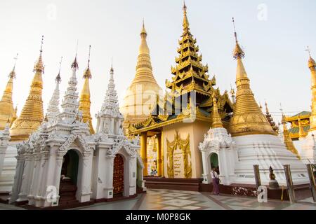 Myanmar, Yangon, Rangun, ex-Hauptstadt ok Birma, Shwedagon Pagode Stockfoto