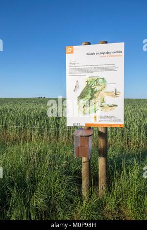 Frankreich, Lozère, Les Causses et les Cevennes, kulturelle Landschaft der Mediterranen agro Weidewirtschaft, als Weltkulturerbe von der UNESCO, der Nationalpark der Cevennen, aufgeführt als Reserve der Biosphäre der UNESCO, Berg Lozère, Cham de Bondons, kalkhaltigen Fach im Süden des Berges Lozère streuten Mit 154 Menhire, die Website stellt die zweite Konzentration der megalithischen Denkmäler in Europa, Abreise der Pfad Trails runden im Land der Menhire Stockfoto