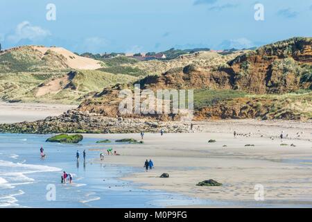 Frankreich, Pas-de-Calais, Opale Küste, Durchhang Dünen und Strand zwischen Wimereux Wimereux von Pointe aux Oies gesehen Stockfoto