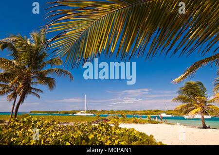 Frankreich, Karibik, Kleine Antillen, Petite Terre National Nature Reserve, mit Blick auf die Lagune und Terre-de-Haut vom weißen Sandstrand von Terre-de-Bas Stockfoto