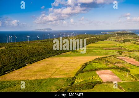 Frankreich, Guadeloupe, Grande-Terre, Saint-François, Luftaufnahme von Zuckerrohr Felder in der Perspektive der Pointe des Châteaux, Windkraftanlagen an der Nordostküste, La Désirade Insel im Hintergrund (Luftbild) Stockfoto