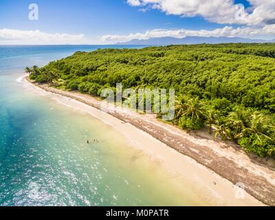 Frankreich, Karibik, Kleine Antillen, Guadeloupe, Grande-Terre, Le Gosier, Luftaufnahme des Salines Strand, Mangrove im Hintergrund (Luftbild) Stockfoto