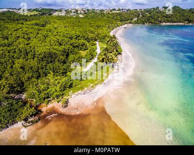Frankreich, Karibik, Kleine Antillen, Guadeloupe, Grande-Terre, Le Gosier, Luftaufnahme des Salines Strand, Mangrove im Hintergrund (Luftbild) Stockfoto