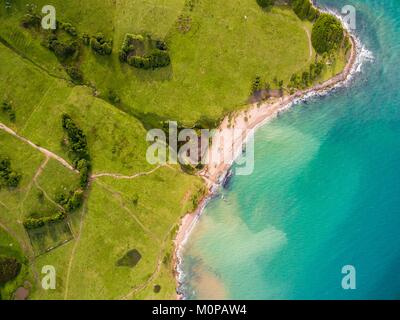 Frankreich, Karibik, Kleine Antillen, Guadeloupe, Basse-Terre, Sainte-Rose, Luftaufnahme von der Küste und den Wiesen, wo Rinder weiden im Anse de Nogent (Luftbild) Stockfoto