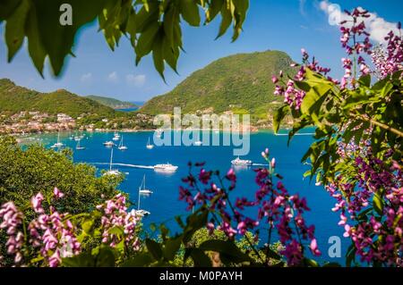 Frankreich, Guadeloupe, Les Saintes, mit Blick auf die Bucht von der Stadt von Terre-de-Haut, die von der UNESCO zu den 10 schönsten Buchten der Welt eingestuft, von den Weg zum Fort Napoleon Stockfoto