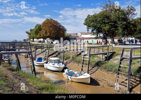 Frankreich, Charente Maritime, Meschers sur Gironde, der Hafen bei Ebbe Stockfoto