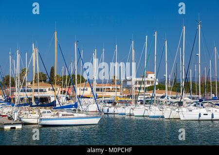 Frankreich, Var, La Londe les Maures Stockfoto