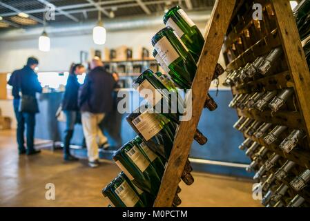 Kanada, Ontario, Niagara on the Lake, Jackson-Triggs Niagara Estate Winery, Anbauteile innen Stockfoto