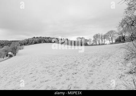 Ländlichen idyllischen monochrome Winter Landschaft Landschaft Szene über ein Schneefeld mit Hill, Himmel, Wolken, Bäume, Wald, Straßen und Tracks Stockfoto