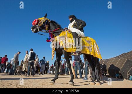 Tunesien, Douz, Sahara, internationales Festival der Sahara in Douz, traditionelle Equestrian zeigt Fantasia Stockfoto