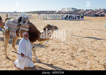 Tunesien, Douz, Sahara, internationales Festival der Sahara in Douz, Stockfoto